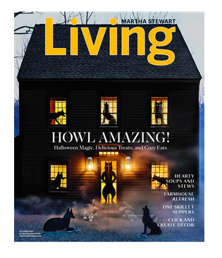 Free subscription Martha Stewart Living magazine