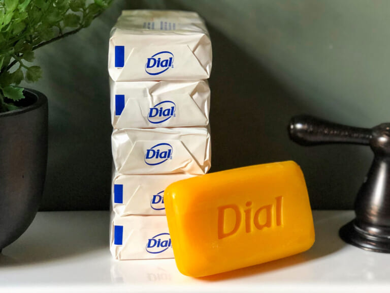 Dial Bar Soap 3-pk Just 65¢ At Publix on I Heart Publix 1