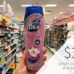 Dial Body Wash Just $2.50 Per Bottle At Publix