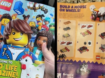 Free LEGO Life Magazine Subscription!