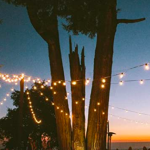 Solar String Lights Outdoor