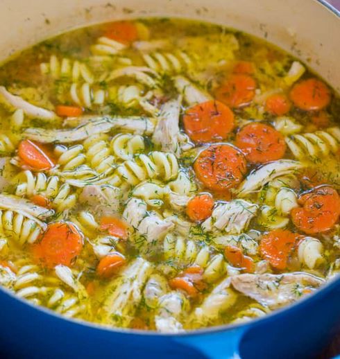 chicken noodle soup