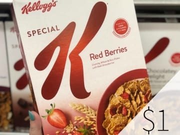 Big Boxes Of Kellogg’s Special K Cereal As Low As 91¢ Per Box At Publix