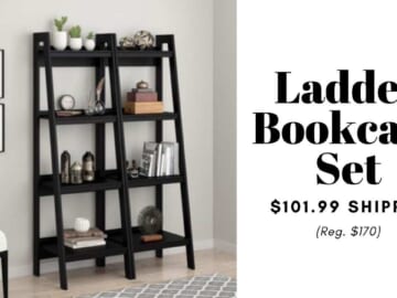 ladder bookcase set