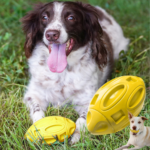 Rubber Dog Chew Ball with Squeaker $6.99 After Code (Reg. $13.99) – FAB Ratings! 7,900+ 4.5/5 Stars!