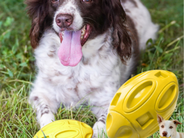 Rubber Dog Chew Ball with Squeaker $6.99 After Code (Reg. $13.99) – FAB Ratings! 7,900+ 4.5/5 Stars!