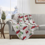 Novelty Printed Heated Plush Throws $29.99 Shipped Free (Reg. $100) | 8 Designs – Includes Holiday Prints!