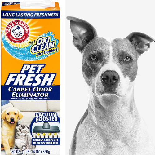 Arm & Hammer Carpet Odor Eliminator Pet Fresh 30 oz. $1.59 (Reg. $3.20)