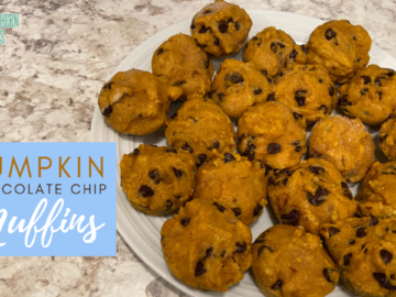 Pumpkin Chocolate Chip Muffins Recipe