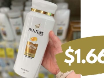 Pantene Hair Care for $1.66 at Walgreens