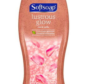 Irish Spring or Softsoap Body Wash