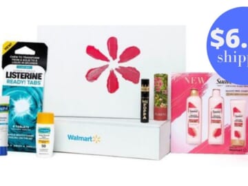 Walmart Beauty Box for $6.98 Shipped