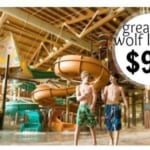 great wolf lodge