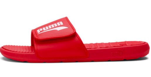 PUMA Slides