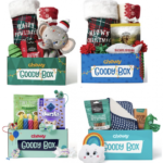 Holiday Pet Goody Boxes as low as $17.49! (Reg. $30-$45!)