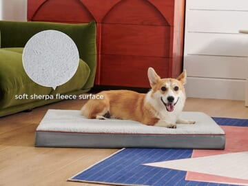 Dog Bed Mats from $26 After Code (Reg. $51.99+) + Free Shipping – L/ XL Sizes, Multiple Colors