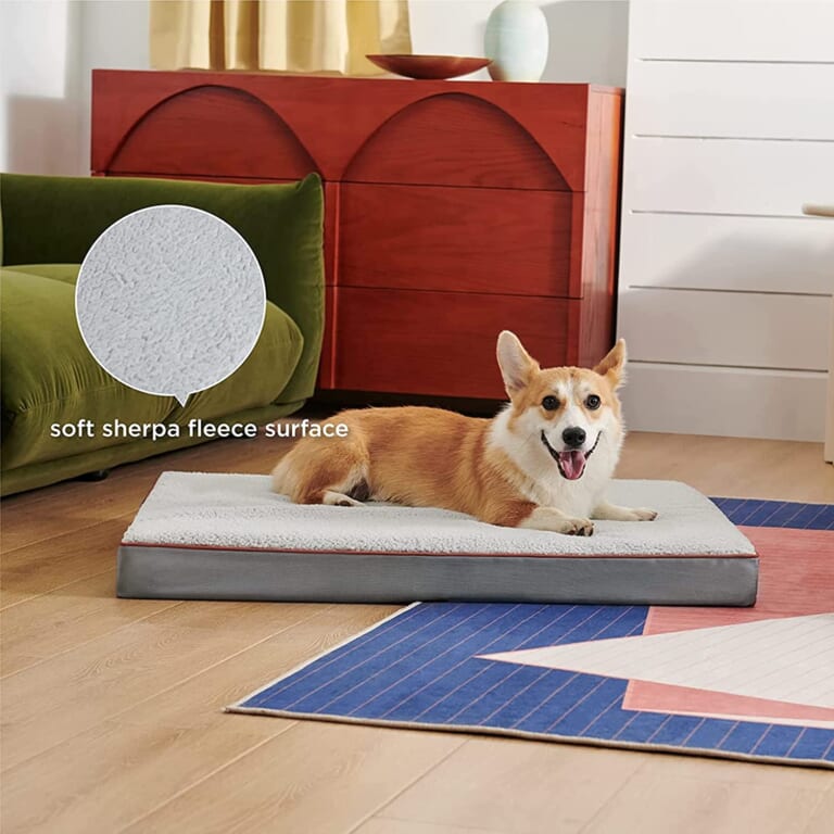 Dog Bed Mats from $26 After Code (Reg. $51.99+) + Free Shipping – L/ XL Sizes, Multiple Colors