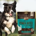 4 Pack Merrick Power Bites Dog Treats $17.97 (Reg. $27.96) | $4.49 each 6-oz bag – Get 4 for the price of 3!