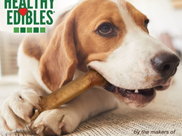 2 Count Nylabone Healthy Edibles All-Natural Long Lasting Flavor Chew Treats $3.09 (Reg. $6.99) – $1.55/ Bone or Chew