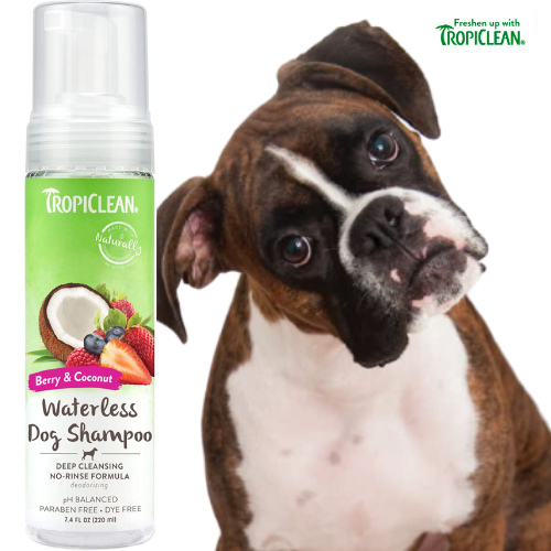 Save BIG on TropiClean Pet Care Needs as low as $5.19 Shipped Free (Reg. $10+) | Shampoo, Conditioner, Deodorizing Sprays & More!