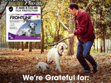 Frontline Plus Flea and Tick Treatments for Dogs and Cats as low as $22.04 Shipped Free (Reg. $37)