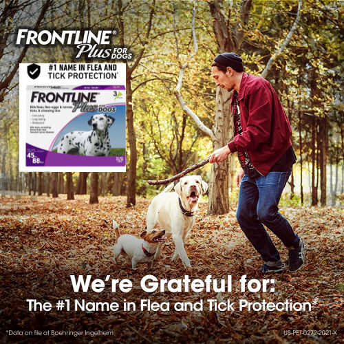Frontline Plus Flea and Tick Treatments for Dogs and Cats as low as $22.04 Shipped Free (Reg. $37)