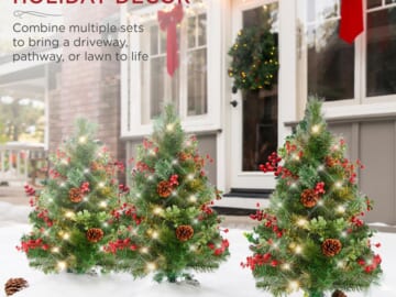 Set of 2 Pre-Lit and Pre-Decorated Pathway Christmas Trees $49.99 After Code (Reg. $75) + Free Shipping – $25 per tree! Lowest Price