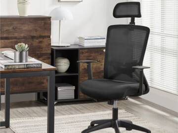 28.3 inches Executive Chair with Adjustable Height & Swivel $84.99 Shipped Free (Reg. $100)