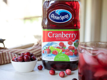 Ocean Spray Juice Cocktail Just $2 At Publix