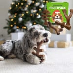 4-Pack Benebone Holiday Durable Dog Chew Toys $20.32 (Reg. $29.03) | Just $5.08/pack!