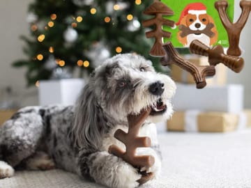 4-Pack Benebone Holiday Durable Dog Chew Toys $20.32 (Reg. $29.03) | Just $5.08/pack!