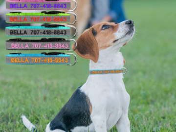 Amazon Black Friday! Personalized Reflective Dog Collar $3.60 After Code (Reg. $11.99)