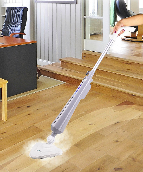 Multi-Surface Steam Mop