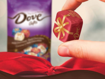 Amazon Cyber Monday! DOVE PROMISES Holiday Gifts Assorted Chocolate Candy Bag, 24 oz $8.98 (Reg. $23.55)