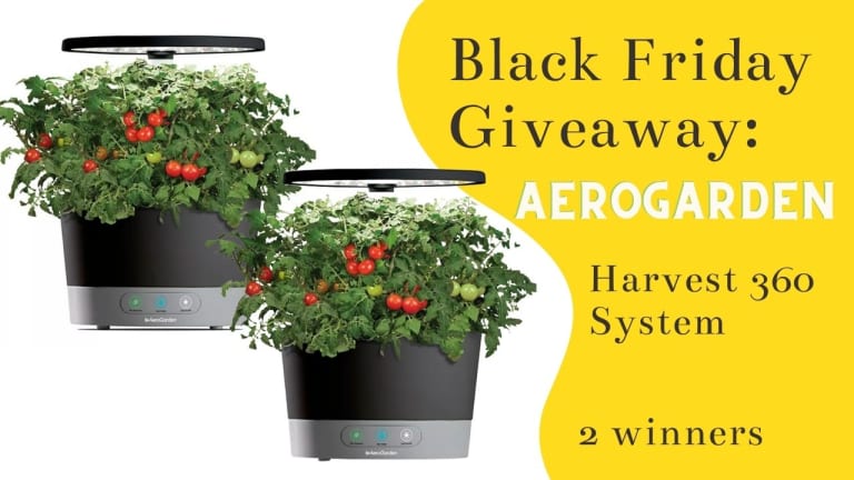 #9 Black Friday Giveaway | 2 Winners Get AeroGarden Harvest