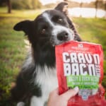 Stella & Chewy’s Crav’n Bac’n Dog Treats, 8.25 oz as low as $4.98 Shipped Free (Reg. $10)