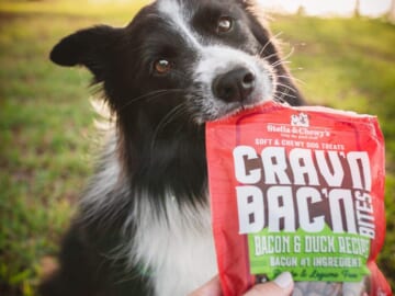 Stella & Chewy’s Crav’n Bac’n Dog Treats, 8.25 oz as low as $4.98 Shipped Free (Reg. $10)