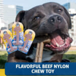 3-Pack XL Bullibone Nylon Dog Chew Toys as low as $19.19 Shipped (Reg. $32  ) – $6.40/toy! 3 Flavors! 5K+ FAB Ratings! + Save 30% on All Bullibone Products