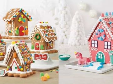 target circle gingerbread houses