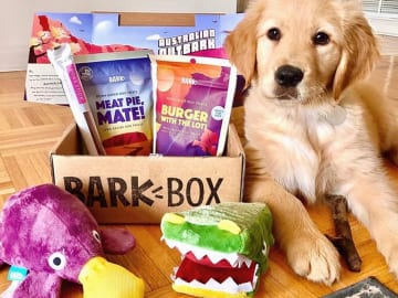 Today Only! BarkBox Monthly Subscription Box $17.50 Shipped (Reg. $35) – Chew Toys, All Natural Dog Treats + More