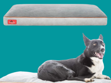 Shredded Memory Foam Dog Bed $32.99 Shipped Free (Reg. $44.99)