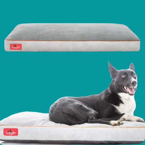 Shredded Memory Foam Dog Bed $32.99 Shipped Free (Reg. $44.99)