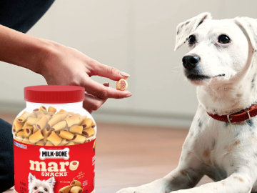 Milk-Bone MaroSnacks Dog Treats, 40 oz. as low as $8.42 Shipped Free (Reg. $12.99)