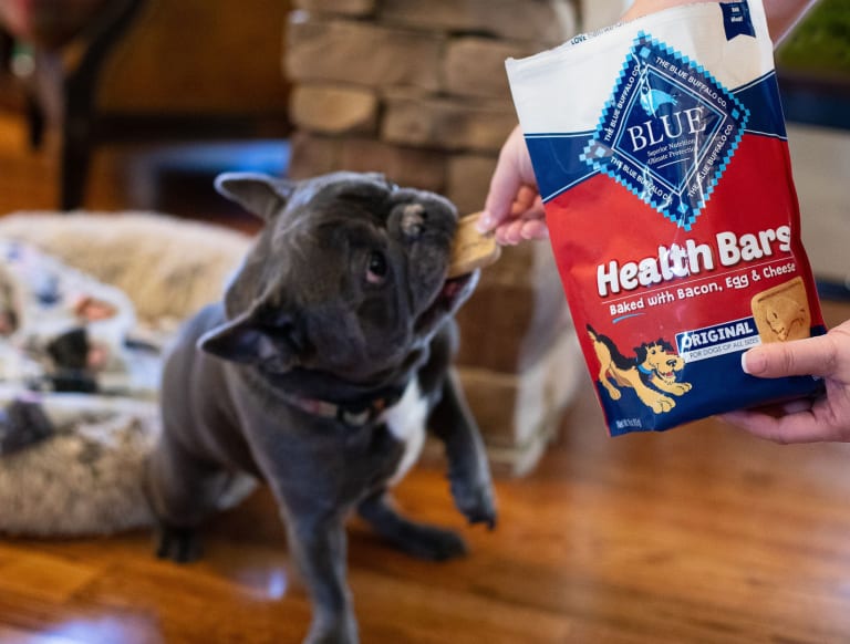 Blue Buffalo Health Bars Just $1.25 At Publix