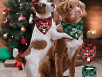 2 Pack Dog Christmas Bandanas $6.59 After Code (Reg. $11.99) – FAB Ratings! | Just $3.30 each!