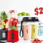 Nutribullet GO Personal Blender 2-pack for $29.99