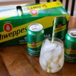 Schweppes Ginger Ale 12-Packs Just $2.35 At Publix (Regular Price $6.69)