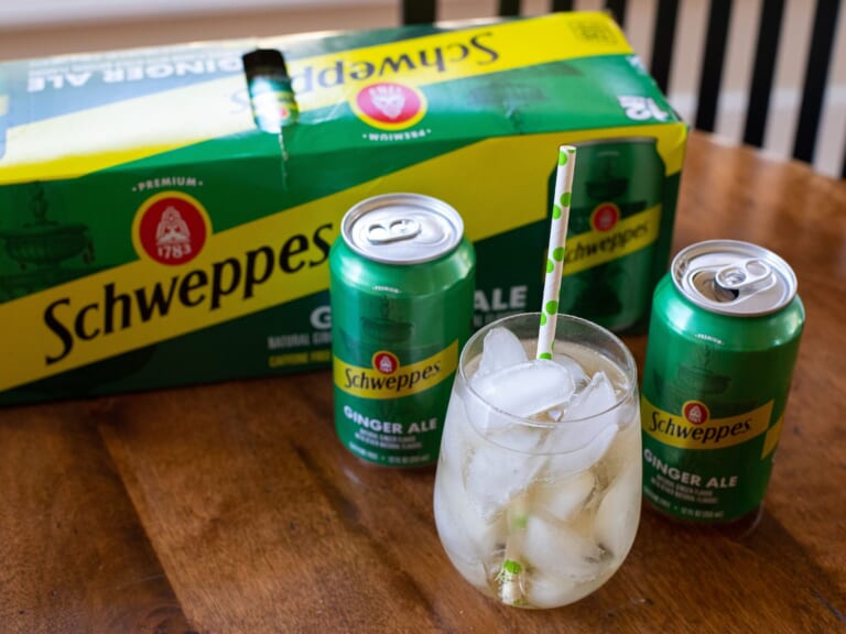 Schweppes Ginger Ale 12-Packs Just $2.35 At Publix (Regular Price $6.69)