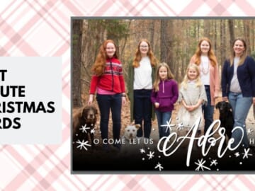 Need Last Minute Christmas Cards?  60% off + Same Day Pickup