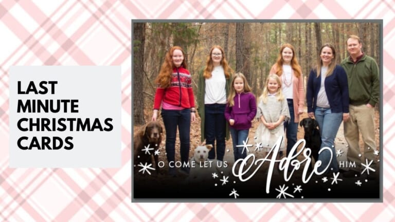 Need Last Minute Christmas Cards?  60% off + Same Day Pickup